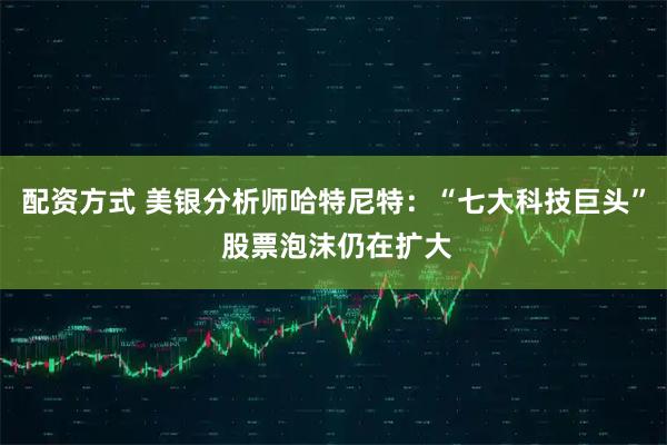 配资方式 美银分析师哈特尼特：“七大科技巨头” 股票泡沫仍在扩大