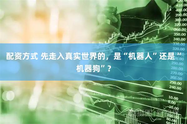 配资方式 先走入真实世界的,是“机器人”还是“机器狗”?